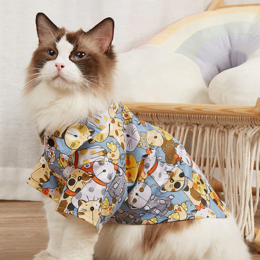 Unique Cat Clothes Will Make Your Pet Cat Even More Adorable