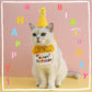 Dog Cat Birthday Party Bandana With Hat Set