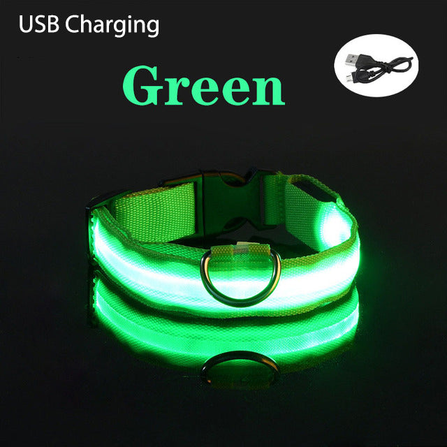 USB Charging LED Dog Collar Light Flashing Necklace