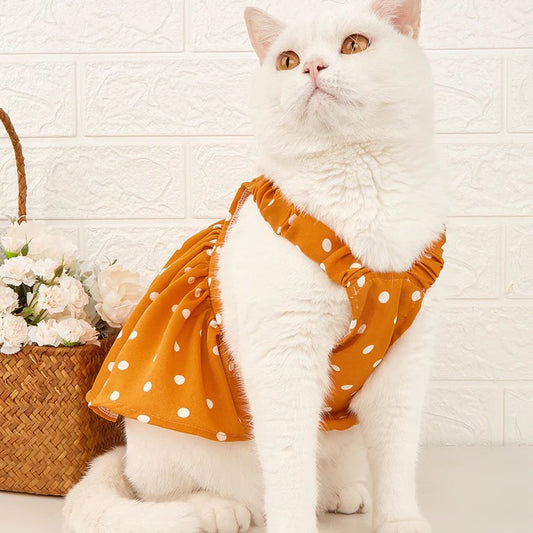 Tips for Choosing Trendy & Contemporary Cute Cat Clothes