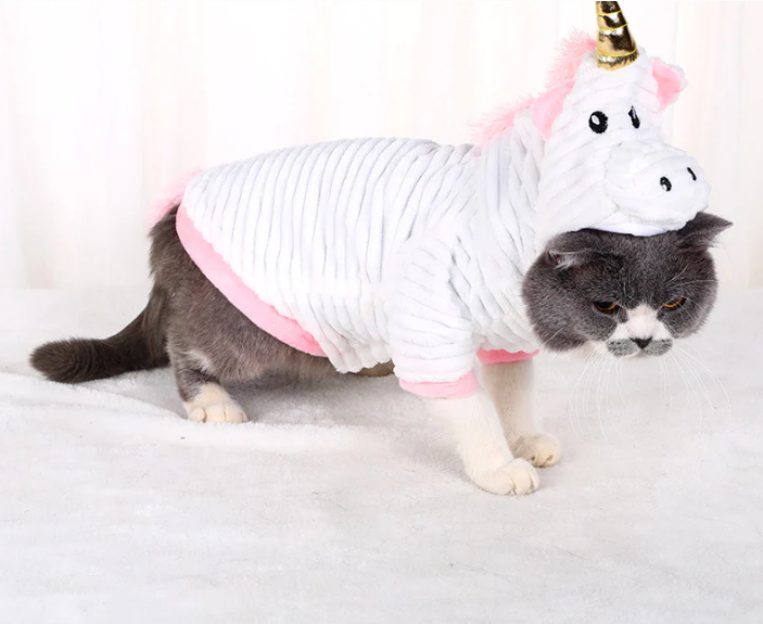 How to choose the perfect cat clothes: The complete guide