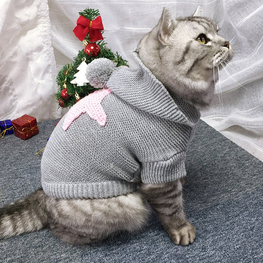 The Best Collection Of Cat Clothes Inspiration