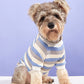 Striped Puppy Sweatshirts Pet Autumn Outfits