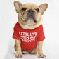 Summer Letters Thin T-Shirt Pets Dog Cat Clothes