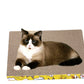 Grind Claw Cat Scratcher Cardboard Carton Toy
