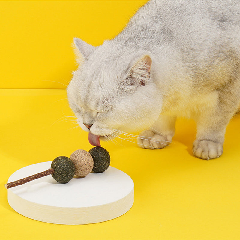 Acorn Catnip Ball Cat Bite Teeth Cleaning Toys Teasing Stick