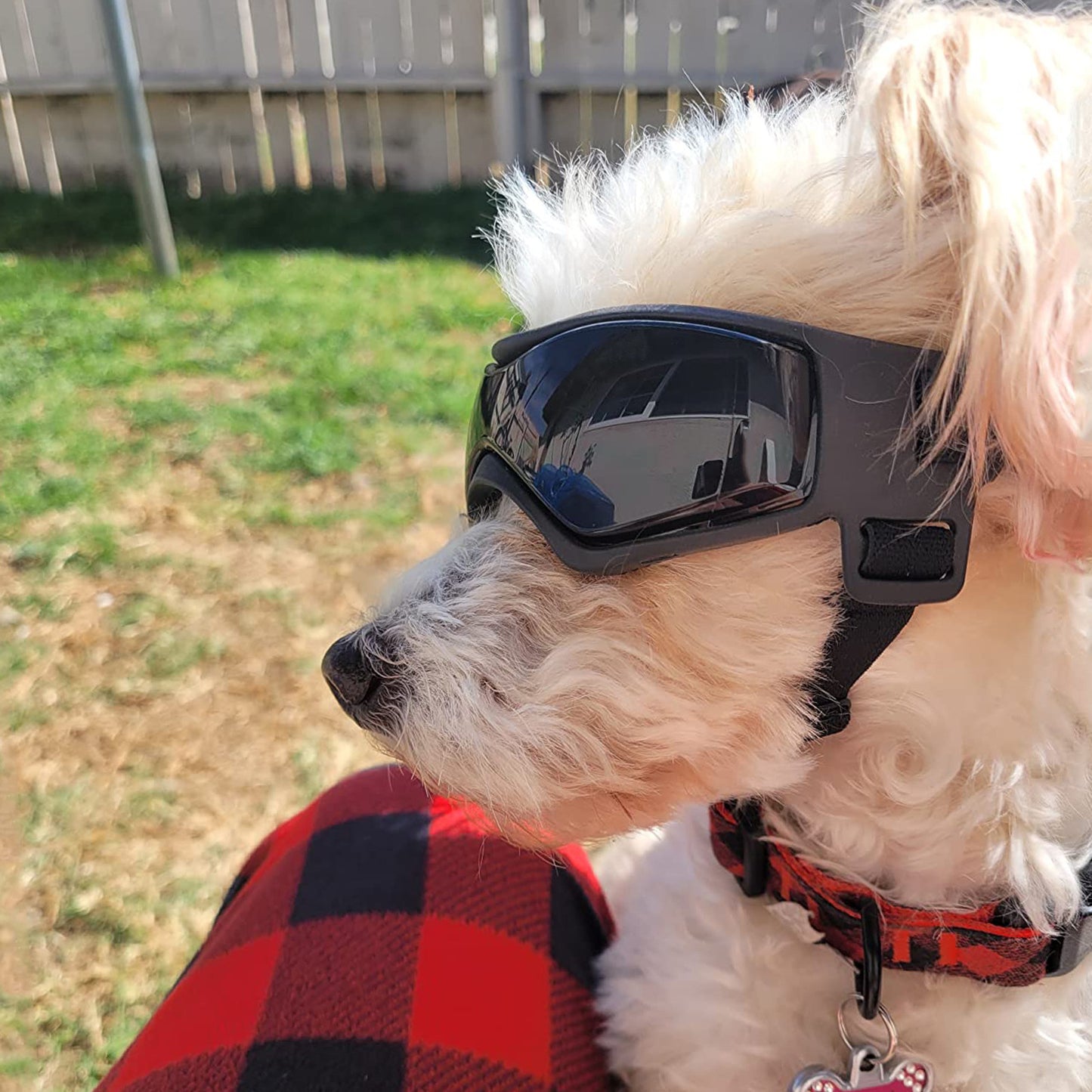 Anti UV Windproof Goggles Pet Cool Sun Glasses