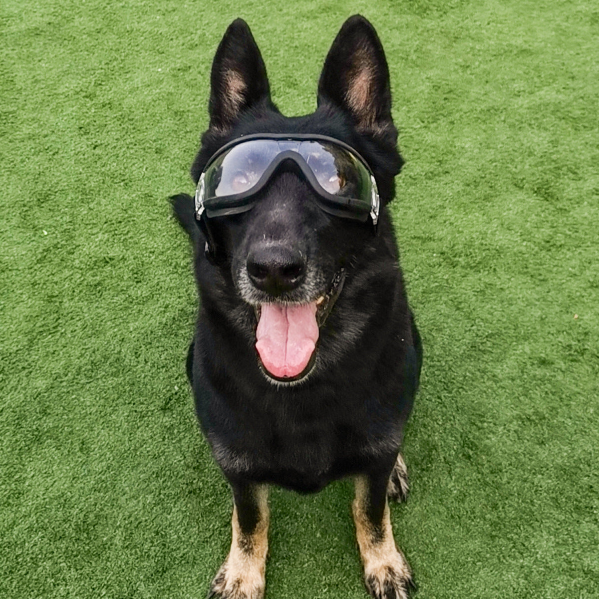 Waterproof Snow-proof Soft Frame Large Dog Goggles