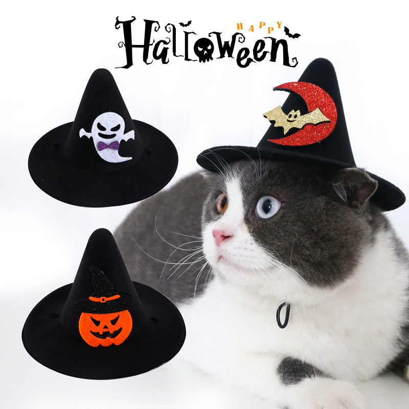 Cartoon Pet Black Hats Halloween Costumes