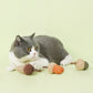 Acorn Catnip Interactive Chew Toys For Cats