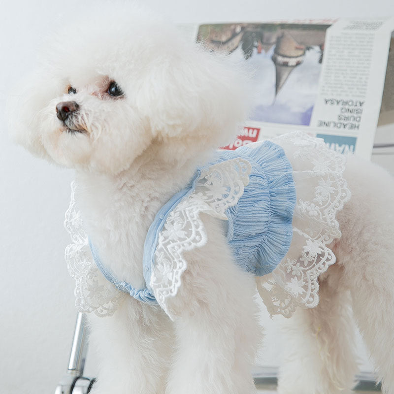 Breathable Chiffon Lace Puppy Princess Skirt
