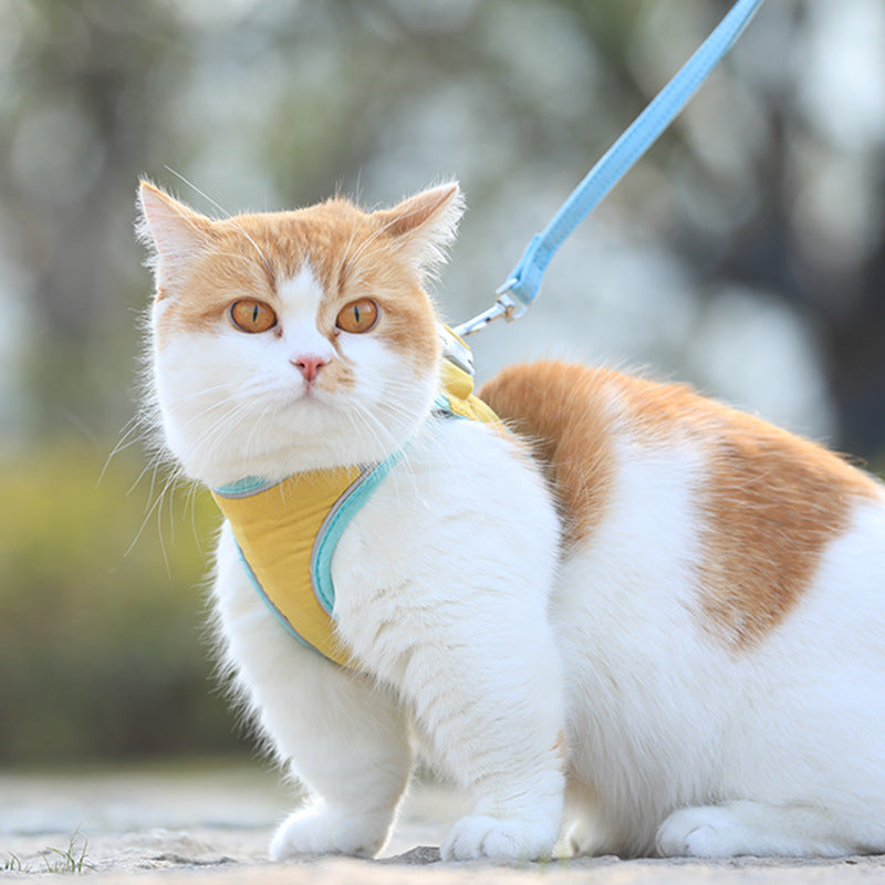 Dog Cat Harness Pet Leash Set Accessories
