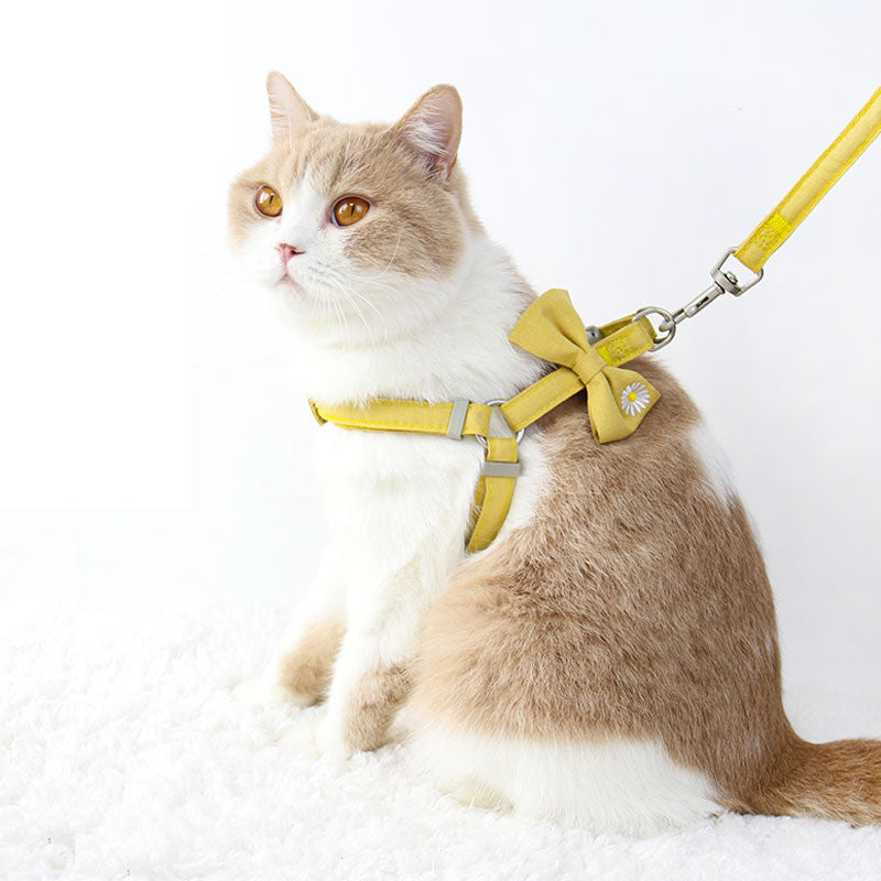 Bow Tie Cat Harness With Leash Walking Accessories