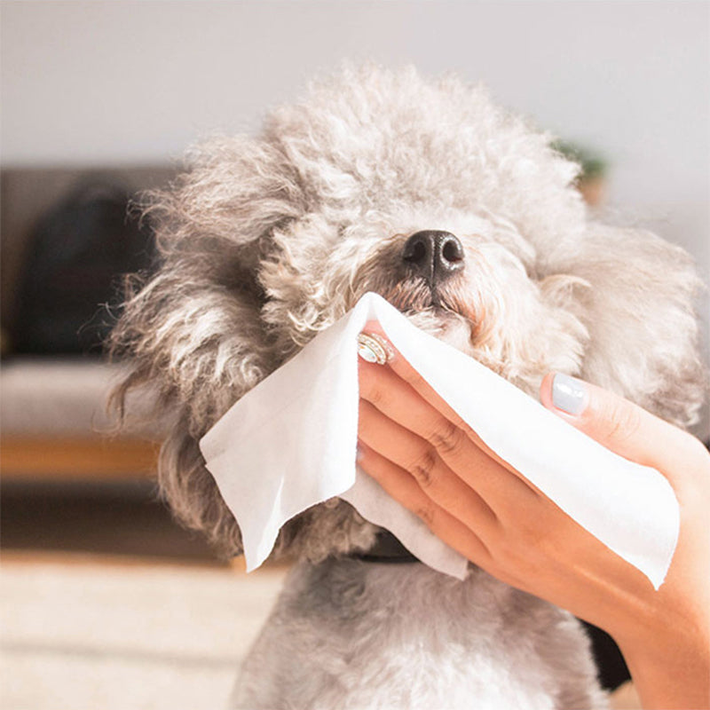 Cleaning Tear Stain Portable Pet Eyes Wet Wipes
