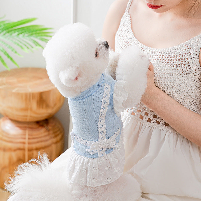 Summer Princess Dress Breathable Lace Dog Cat Skirt