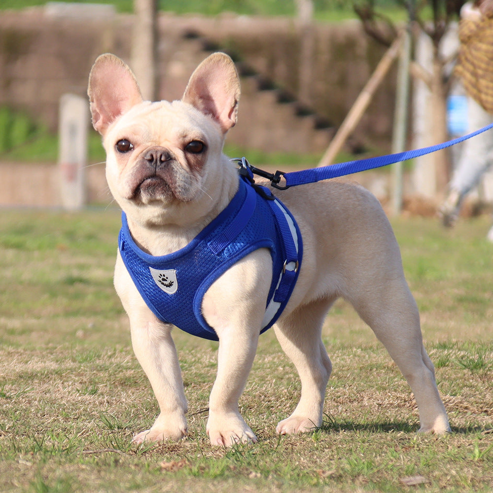 Pet Travel Breathable Dog Harness Reflective Leash