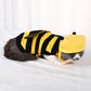 Little Bee Cartoon Halloween Cat Costumes