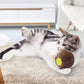 Cat Cardboard Scratcher Ball With Catnip