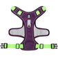 Color Block No Pull Dog Harness Walking Accessories