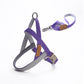 Pet Nylon Chest Harness With Leash Pulling Set