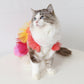 Cat Graduated Tint Mesh Pet Tutu Princess Dress