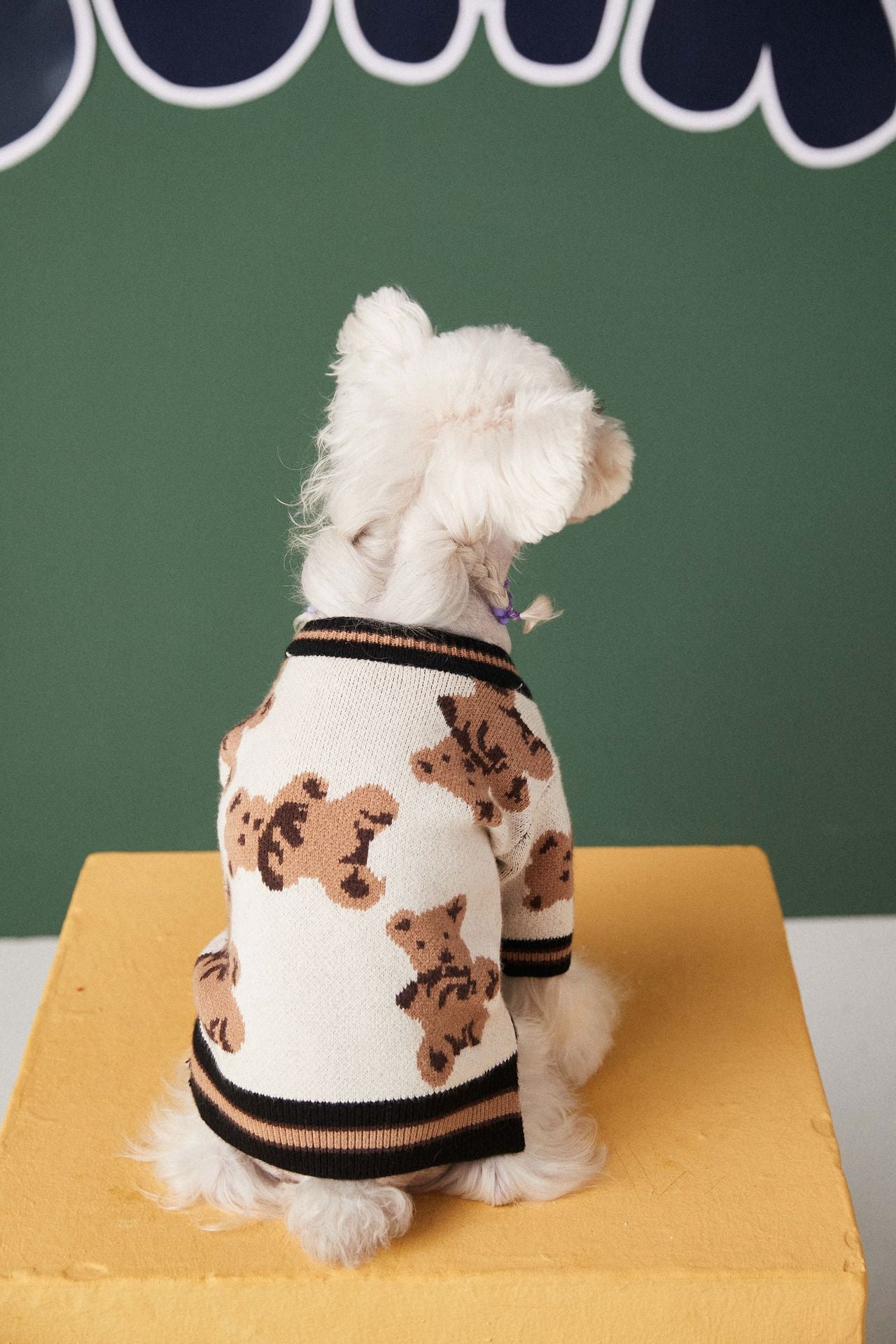 Teddy Bear Woolen Knitted Cat Dog Sweater Cardigan