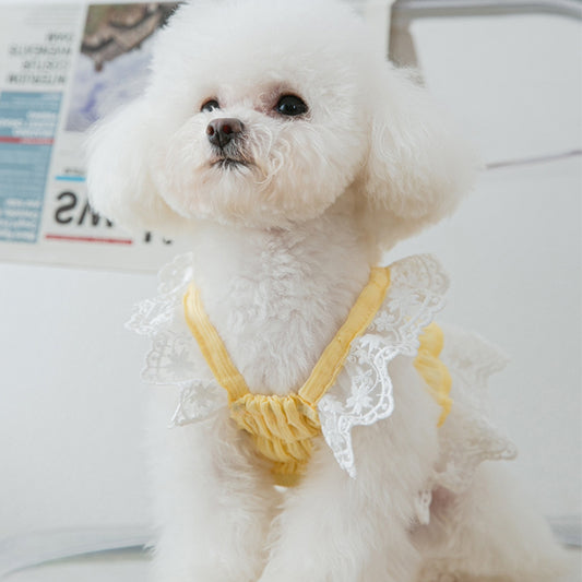 Breathable Chiffon Lace Puppy Princess Skirt