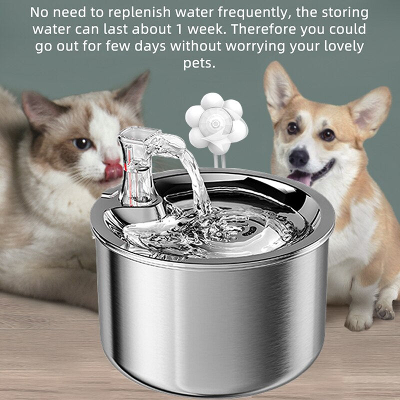 Automatic Filter Water Fountain Cat Motion Sensor Mute Water Dispenser Smart Pet Drinking Fountain With Faucet Feeders Drinker