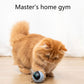 Automatic Smart Cat Toy USB Interactive Electric Jumping Ball
