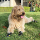 Anti-slip Waterproof Reflective Dog Boots