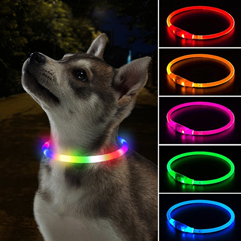 Led Dog Collar Luminous Usb Cat Dog Collar