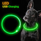 Led Dog Collar Luminous Usb Cat Dog Collar