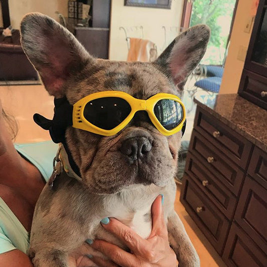 Foldable Puppies Sunglasses Creative Pet Eye Wear