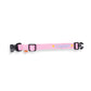 Colorful Embroidered Customizable Pet Name Collar