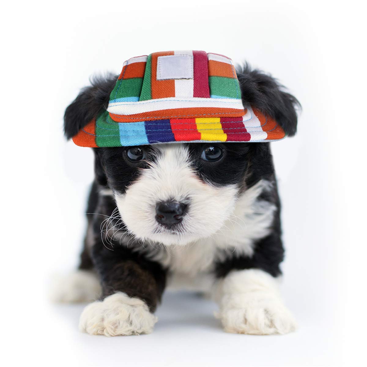 Colorful Striped Mesh Breathable Pet Sun Hat