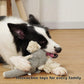 Squeaky Interactive Pet Toys with Crinkle Paper